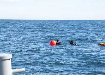 Фото: rusnewshub.ru