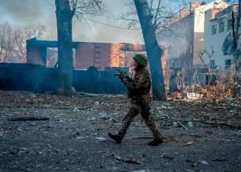 Фото: newsfrol.ru