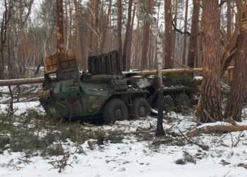 Фото: sila-rf.ru