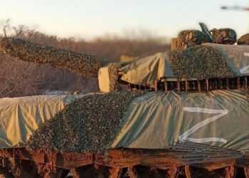 Фото: shraibikus.com