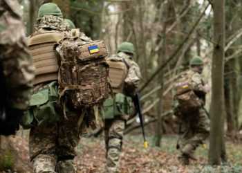 Фото: fbm.ru