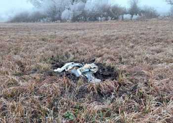 Фото: inforusnews.ru