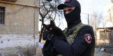 Фото: ms-news.ru