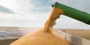 Фото: vrogacheve.ru