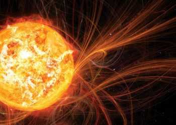 Фото: sibkray.ru