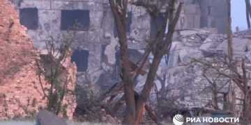 Фото: РИА Новости