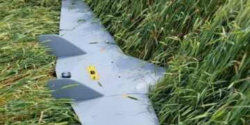 Фото: smotrim.ru