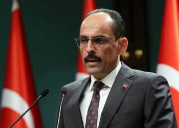 Фото: profile.ru