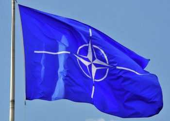 Фото: dailymoscow.ru