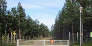 Фото: mk.ru