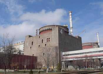 Фото: autonews.live