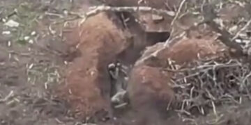 Кадр из видео с ТГ-канала “Военкоры Русской весны”