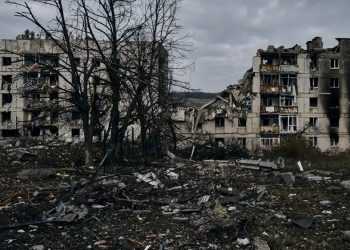 Фото: zensovet.ru