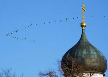 Фото: ТАСС