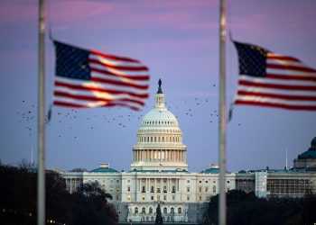 Фото: dailymoscow.ru