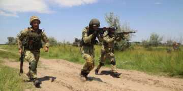 Фото: sputnik.by