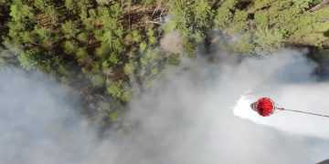 Фото: smotrim.ru