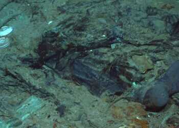 Фото: NOAA Office of Ocean Exploration