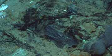 Фото: NOAA Office of Ocean Exploration