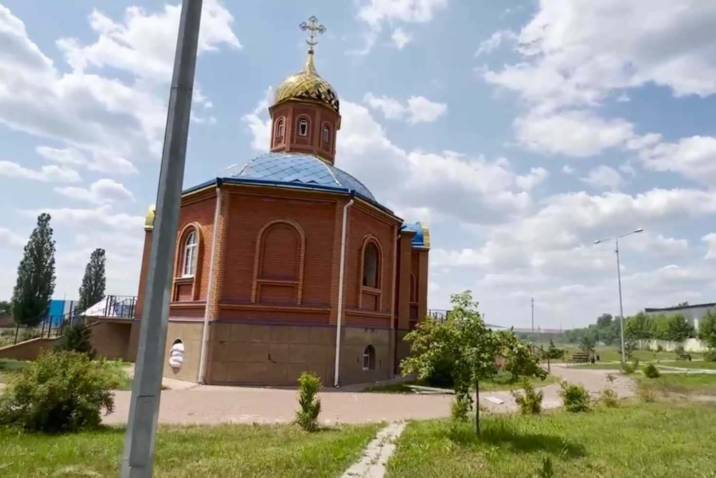 Таволжанка белгородская