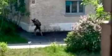 Фото: abomus.co.il