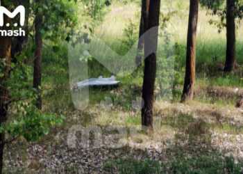 Фото: Телеграм-канал «Mash»