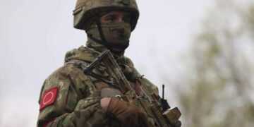 Фото: solenka.info