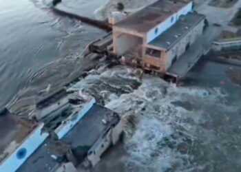 Фото: mirtesen.ru