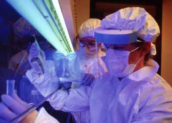 Фото: novosti-donbassa.ru