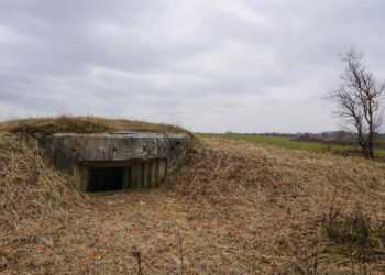 Фото: mixyfotos.ru