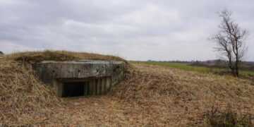 Фото: mixyfotos.ru