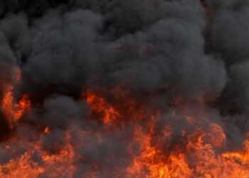 Фото: БелТА