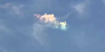 Фото: Telegram/Хороший Краснодар
