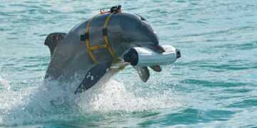 Фото: animaljournal.ru