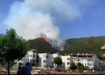 Фото: newtimes.kz