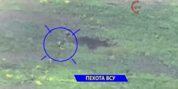 Кадр из видео с ТГ-канала “Работайте, братья!”