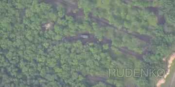 Фото: ianed.ru