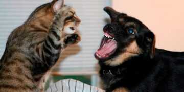 Фото: sarinform.ru