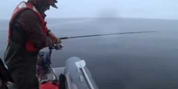 Фото: www.amur.life