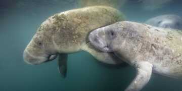 Фото: Globallookpress.com
