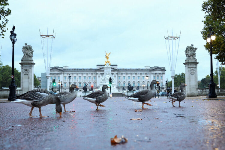 Фото: Reuters