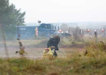 Фото: gpk.gov.by