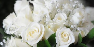 Фото: mykaleidoscope.ru