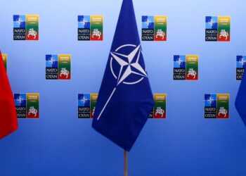 Фото: theconversation.com