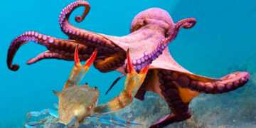 Фото: novikovnn.ru