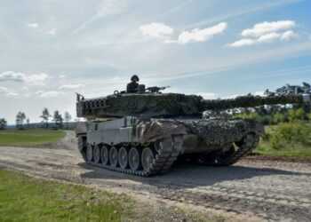 Фото: U.S. Army / Nathanael Mercado