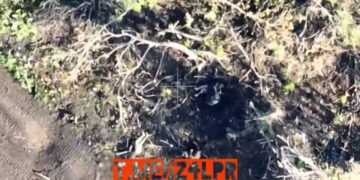 Кадр из видео с ТГ-канала “Военкоры Русской весны”
