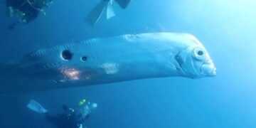 Фото: dailystar.co.uk