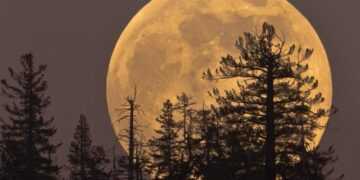 Фото: iStock