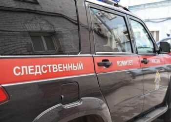 Фото: kp.ru